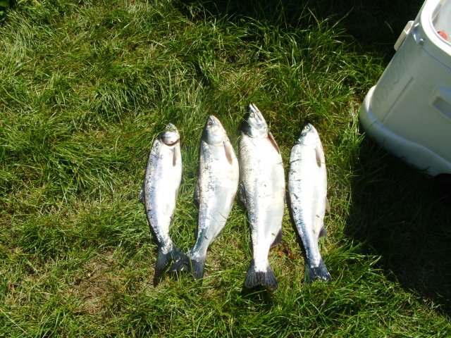 Summer 2009 216.jpg Summer 2009 216.jpg
