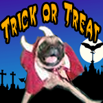pug copy.png