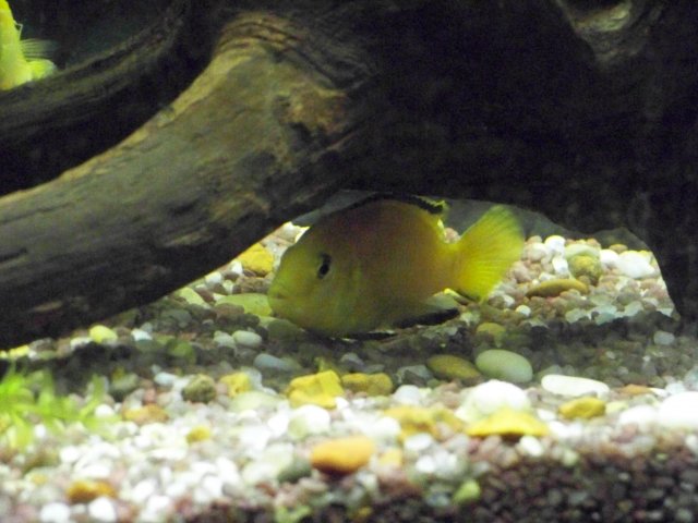 100_0351.JPG