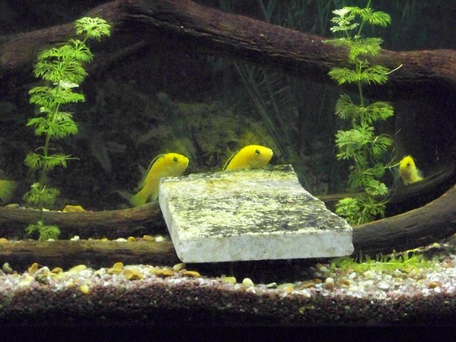 100_0350.JPG