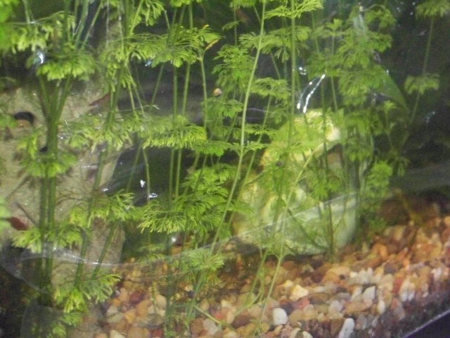 100_0354.JPG