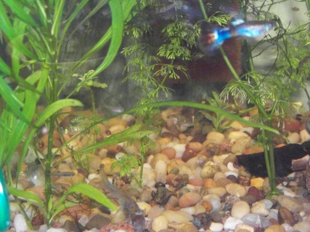 100_0355.JPG