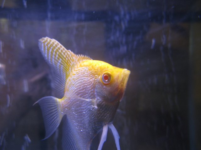 IMG_0017.JPG IMG_0017.JPG