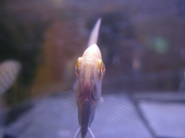 IMG_0023.JPG IMG_0023.JPG