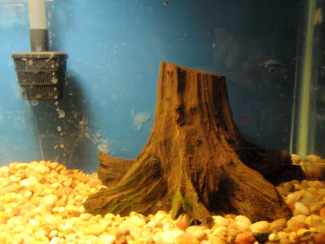 PA021000.JPG