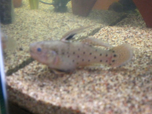 IMG_2399.jpg IMG_2399.jpg