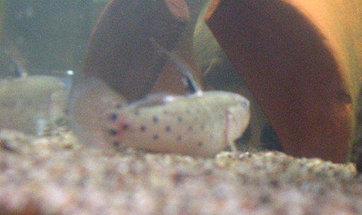 IMG_2400.jpg IMG_2400.jpg