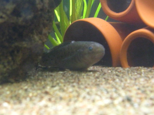 IMG_2401.jpg IMG_2401.jpg