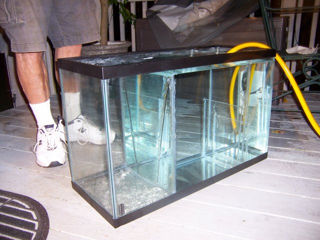 100_0585.JPG