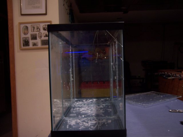 100_0607.JPG