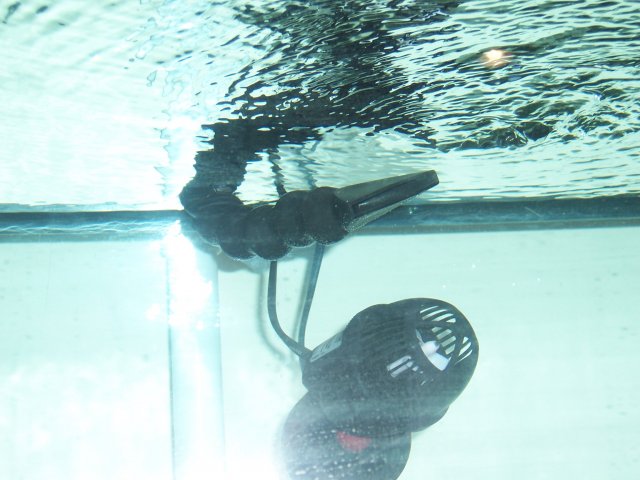 100_0874.JPG