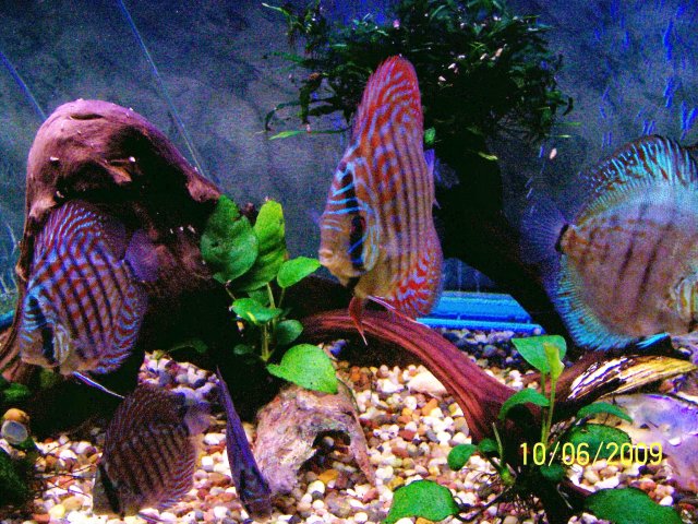 000_3439.jpg