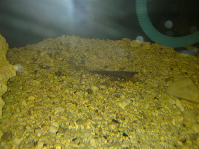 07102009324.jpg
