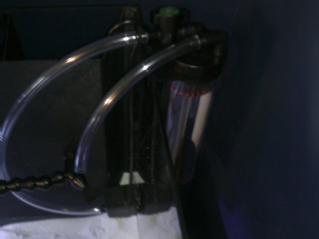 Phone Pictures 011.jpg