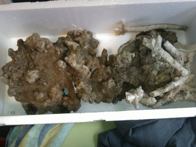 Phone Pictures 012.jpg