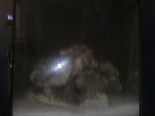 Phone Pictures 016.jpg