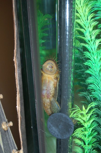 DSC_2476.JPG