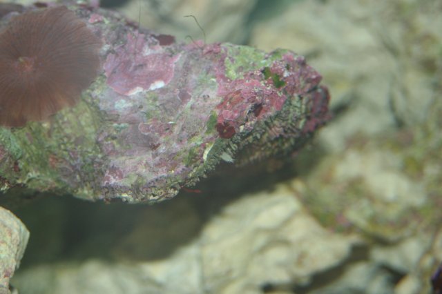 NewSW 072.jpg