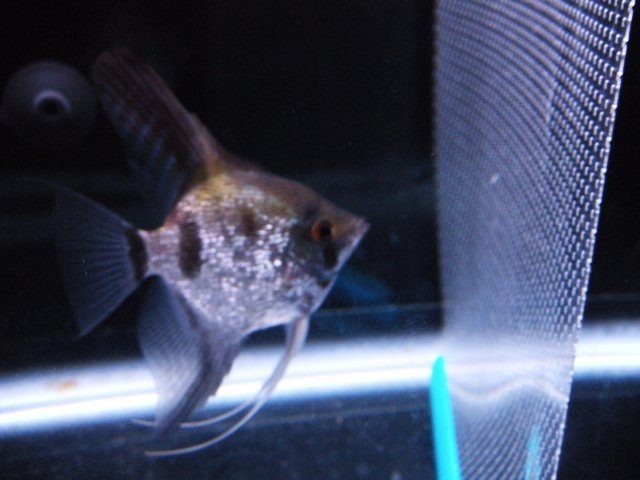 DSCN1111.JPG