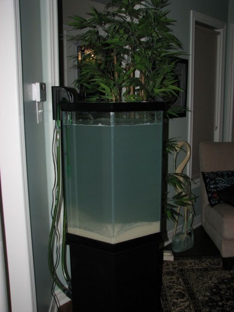 IMG_3941a.jpg IMG_3941a.jpg