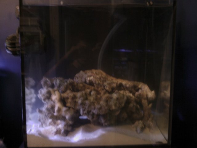 Phone Pictures 015.jpg