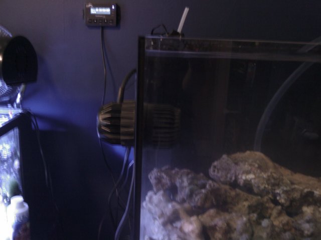 Phone Pictures 017.jpg