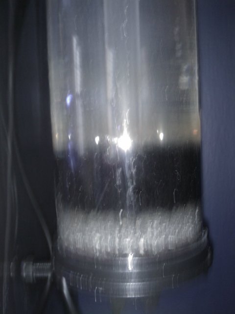 Phone Pictures 018.jpg