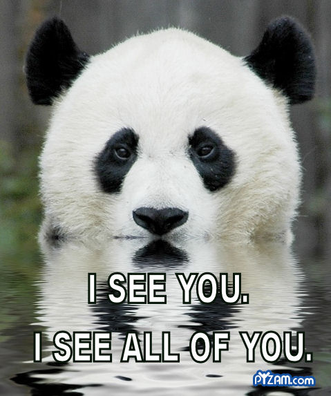 lurkingpanda.jpg lurkingpanda.jpg