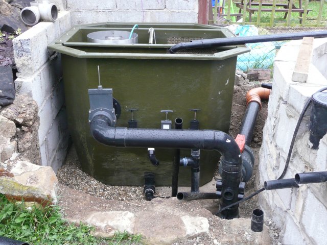 P1000786.JPG
