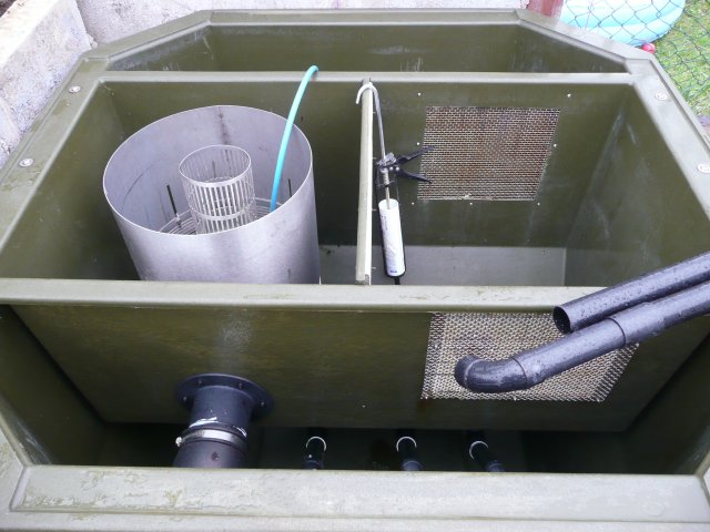 P1000787.JPG