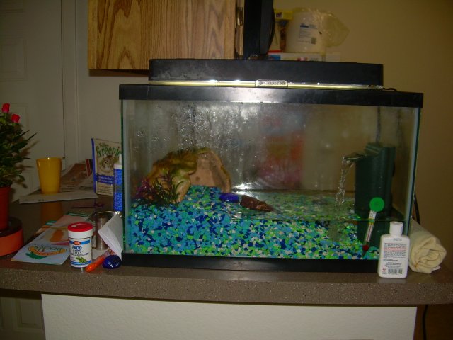 DSCN4437.JPG