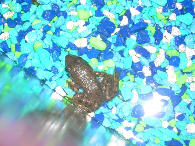 DSCN4442.JPG