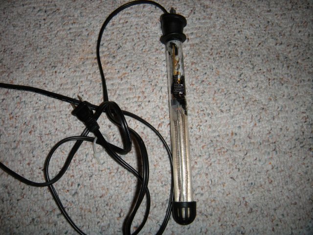 DSCN1235.JPG DSCN1235.JPG