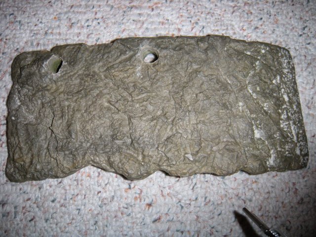 DSCN1238.JPG DSCN1238.JPG