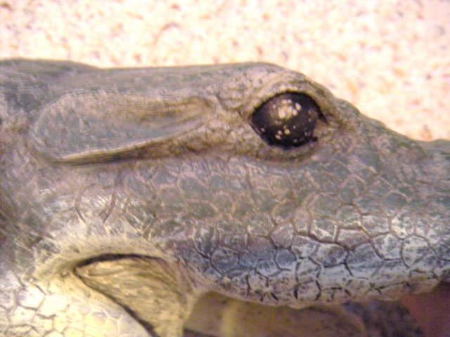 DSCN1295.JPG DSCN1295.JPG