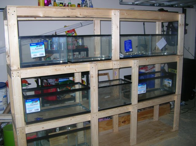 fish 016.jpg fish 016.jpg