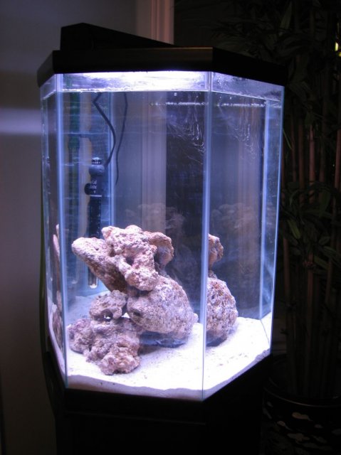 IMG_3947.JPG IMG_3947.JPG