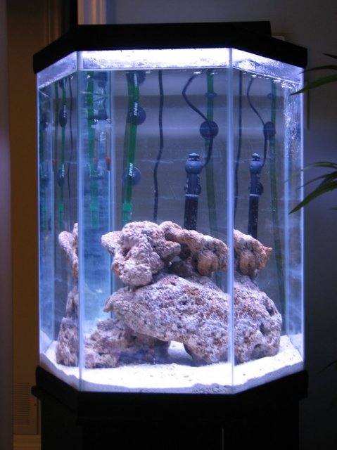 IMG_3944.JPG IMG_3944.JPG