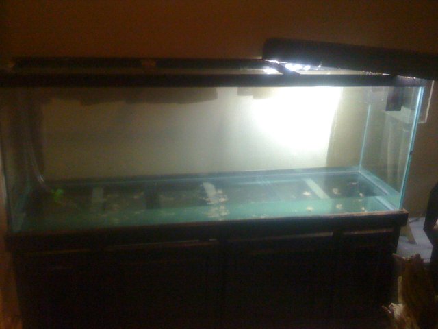 old old tank 271.jpg
