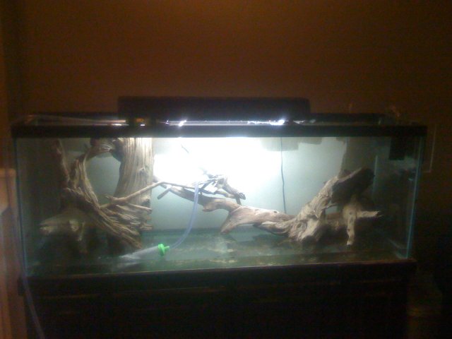 old old tank 142.jpg