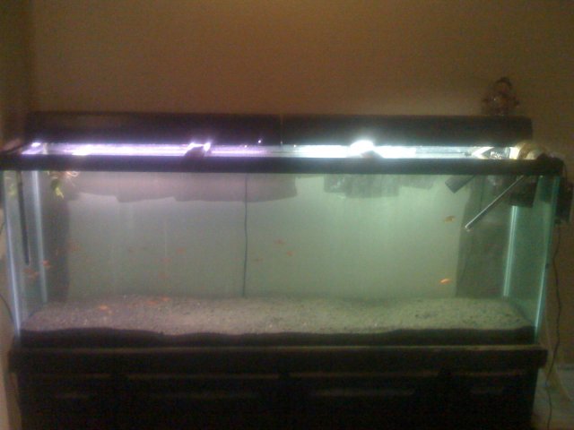 old old tank 820.jpg