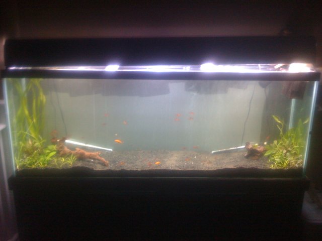 old old tank 534.jpg