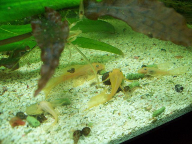 100_2120.JPG
