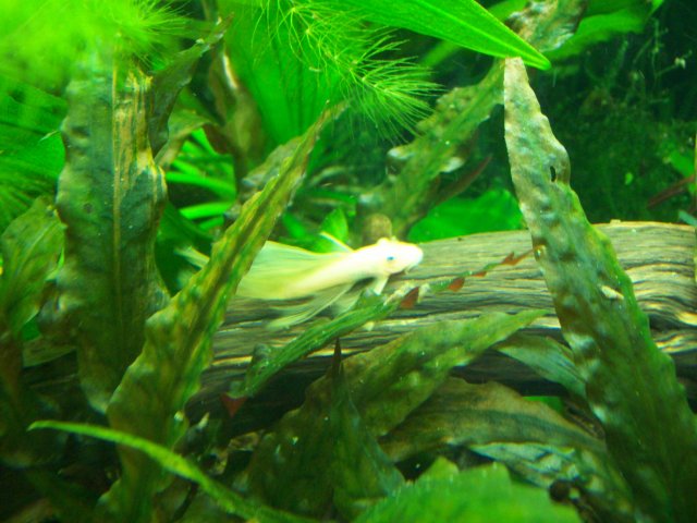 100_2126.JPG