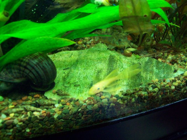 100_2133.JPG