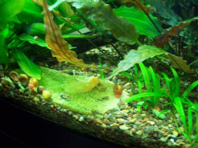100_2134.JPG