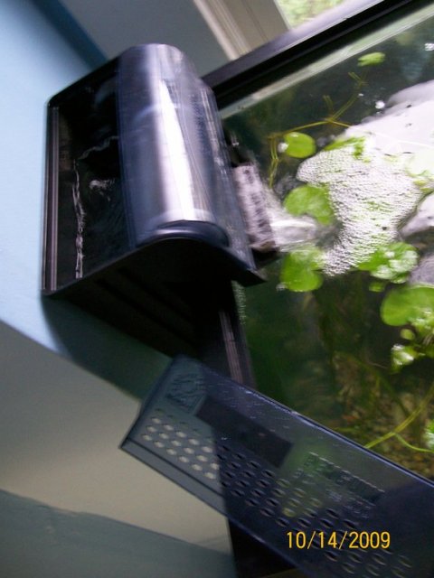 rsz_cartridge_lid_off-_bio_wheel_on.jpg