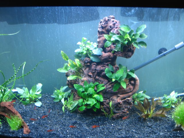 old old tank 914.jpg