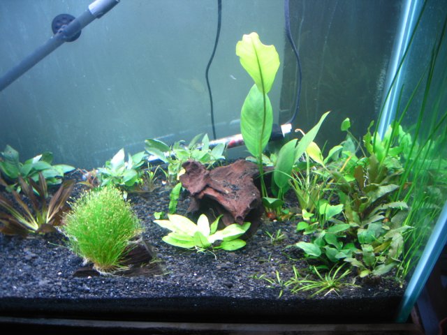 old old tank 916.jpg