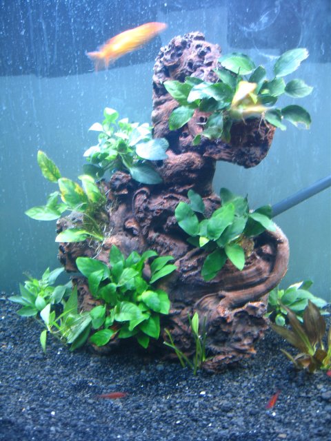 old old tank 919.jpg
